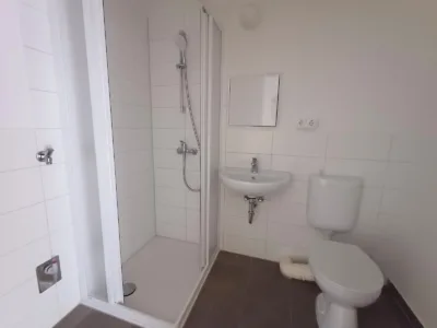 Senioren aufgepasst: 1-Raum-Wohnung mit Dusche und Aufzug - Duschbad (48713)