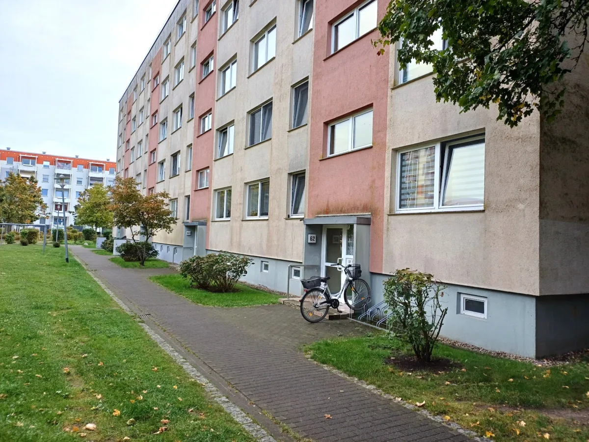 Rückseite