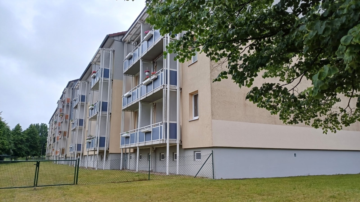 Rückseite